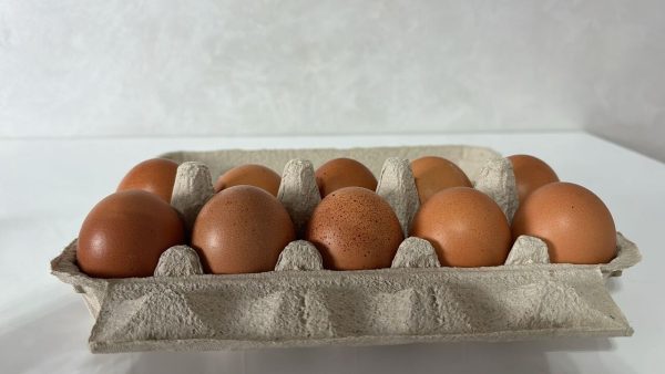Freiland-Eier im 10er-Pack (Größe L)